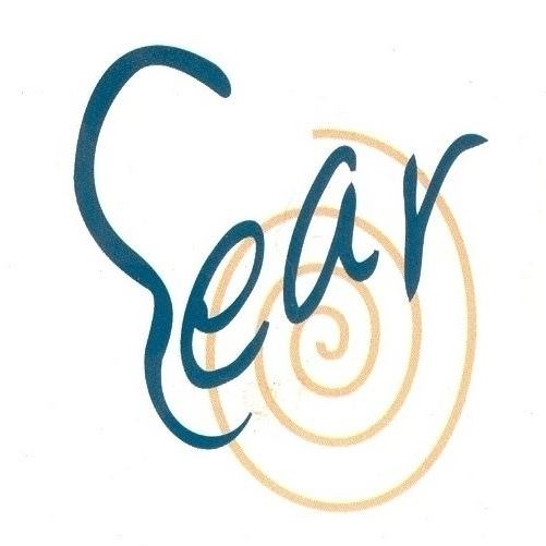 Egypt Audiology Rehab. Centers | Professor of Ear, Nose and Throat Diseases | MEDOC