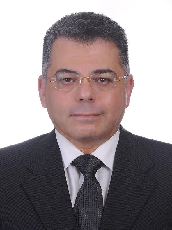 Prof. Adel Alei Eldin | Professor of Ophthalmology | MEDOC